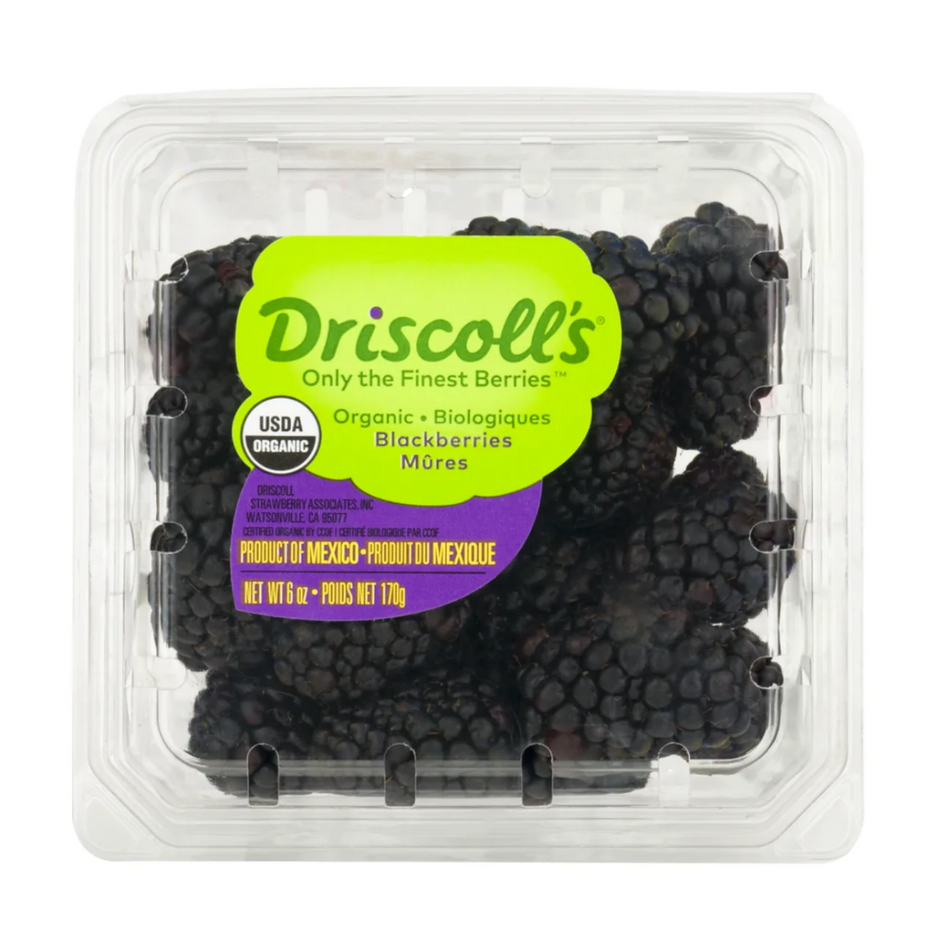 Black Berries (Driscoll)