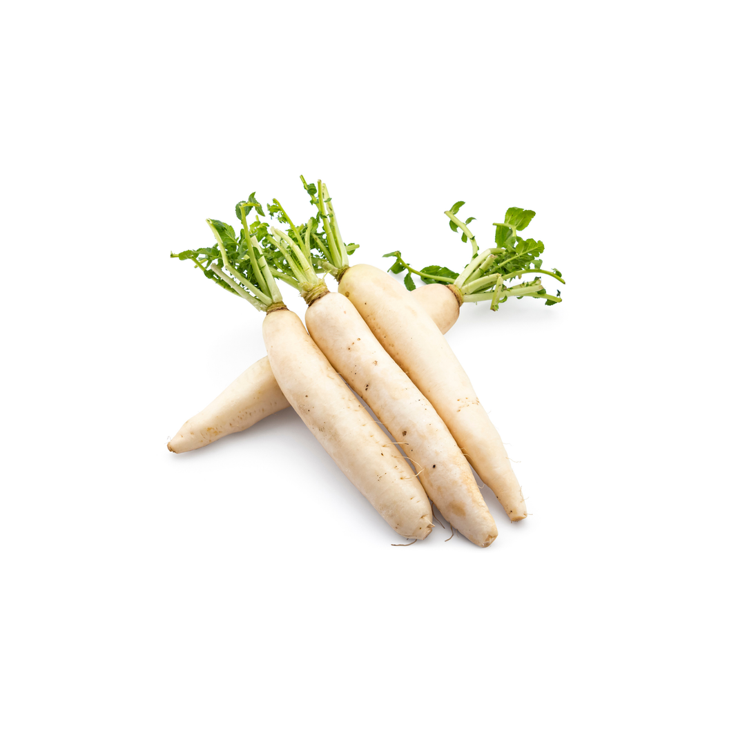 White Radish