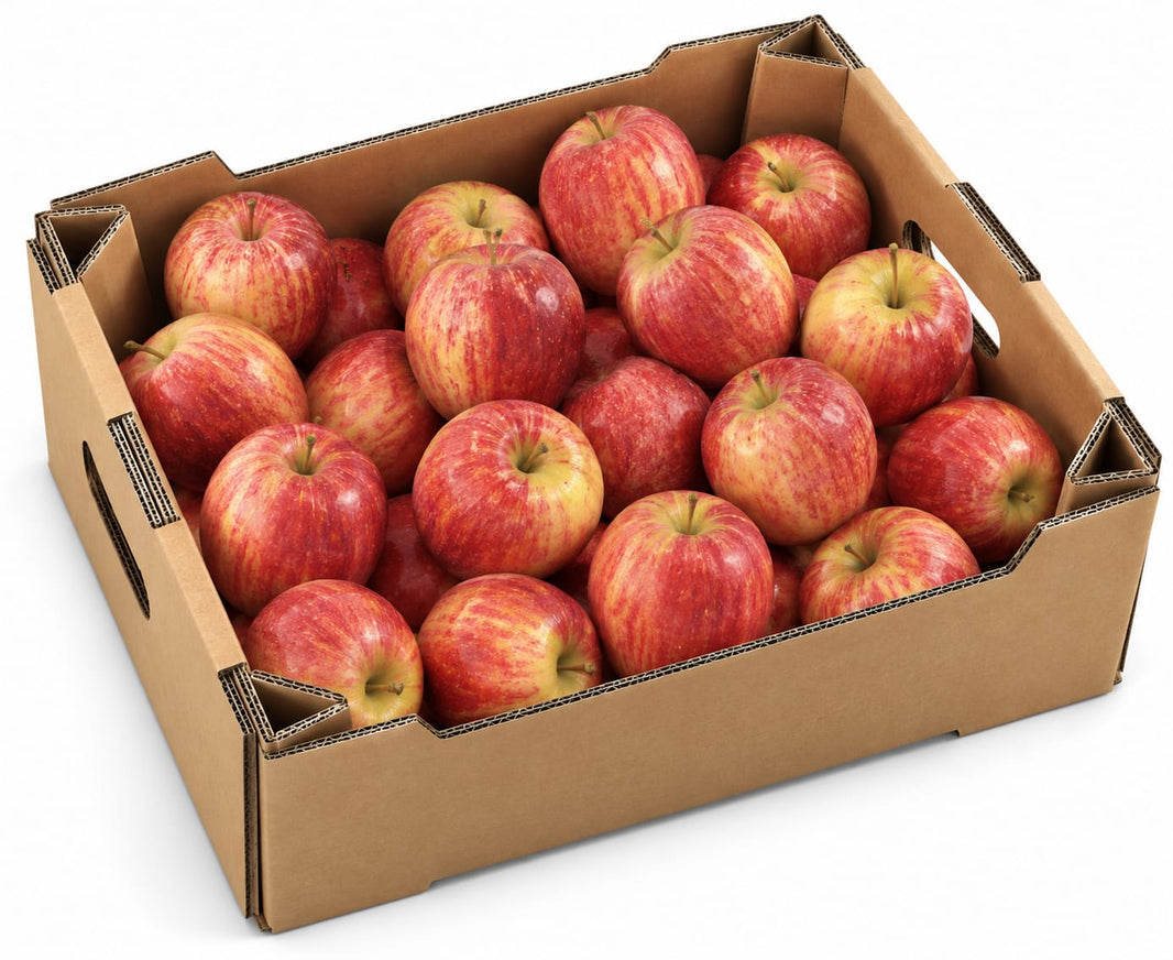 Apple royal gala 8 kg box