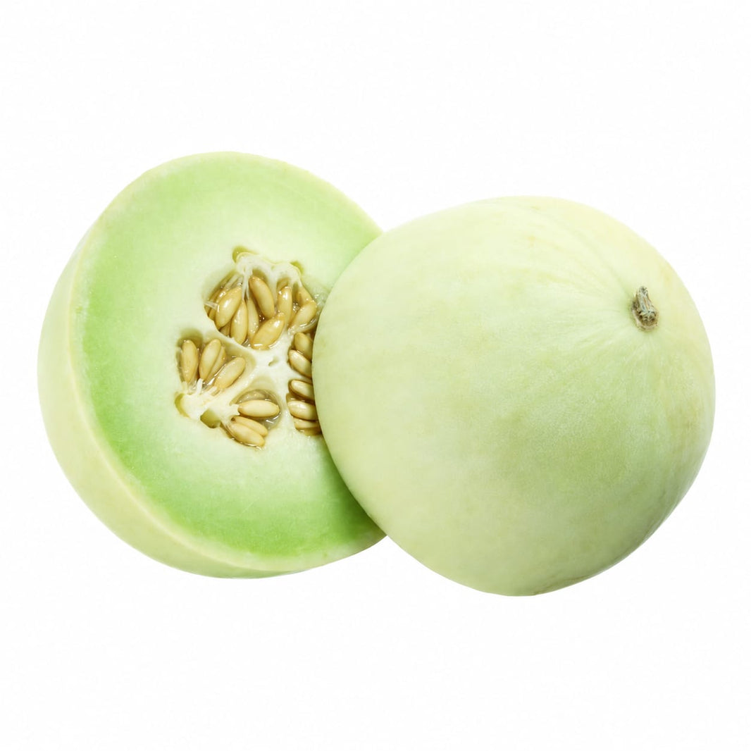 Honey Dew Melon