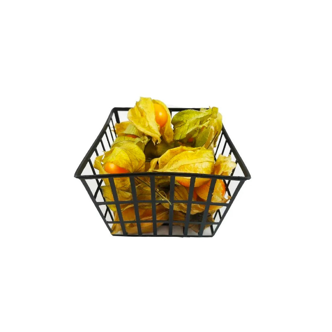 Physalis Pack