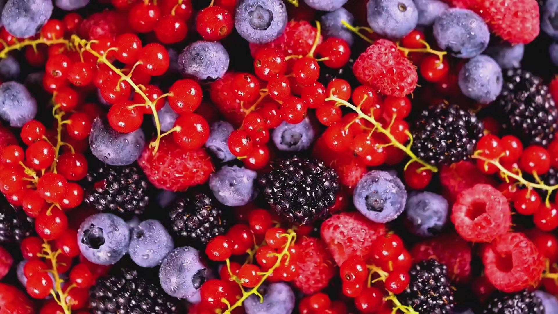 Fresh Fruits